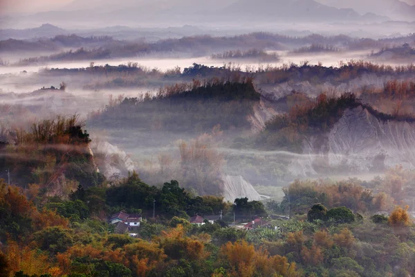 Nebel und Nebel mit gelben Bambus und Hügel — Stockfoto