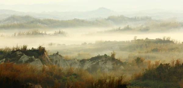 Nebbia e nebbia con bambù giallo e collina — Foto Stock