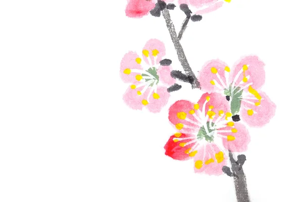 中国绘画的花朵，梅花盛开 — 图库照片