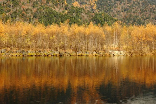 Podzim u jezera — Stock fotografie