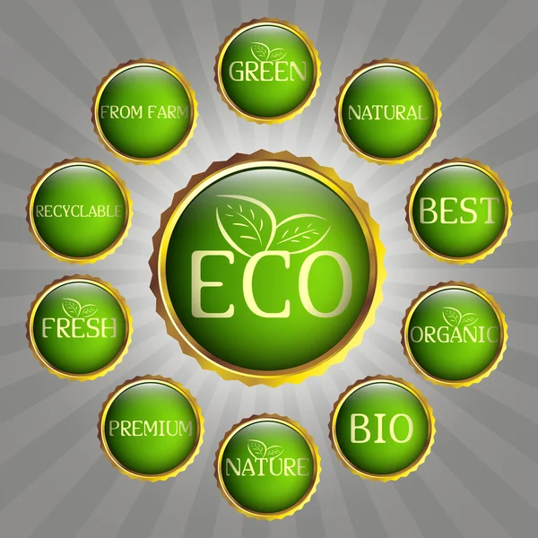 Groene eco badges — Stockvector