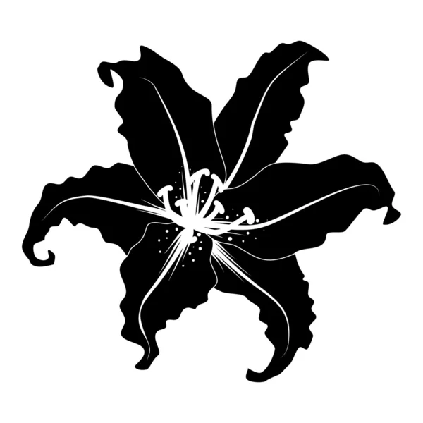 Силуэт лилии — стоковый вектор