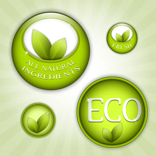 Groene eco natuurlijke badges — Stockvector