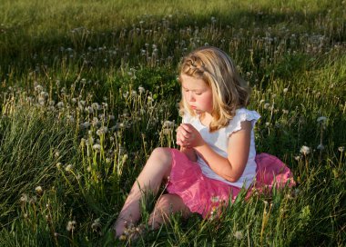 Girl blowing dandelion clipart