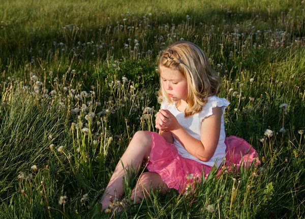 Girl blowing dandelion — Stock Photo, Image