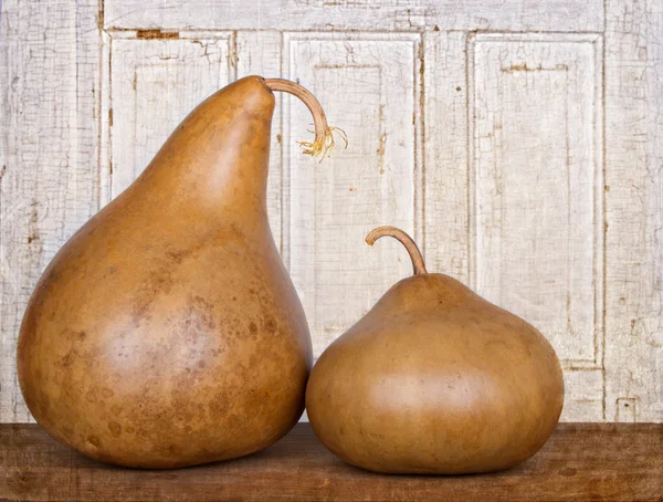 Two amish gourds sitting on wood plank — Stock Photo, Image