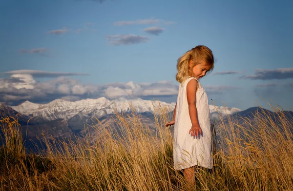 Little girl walking through tall grass — Stock Photo, Image