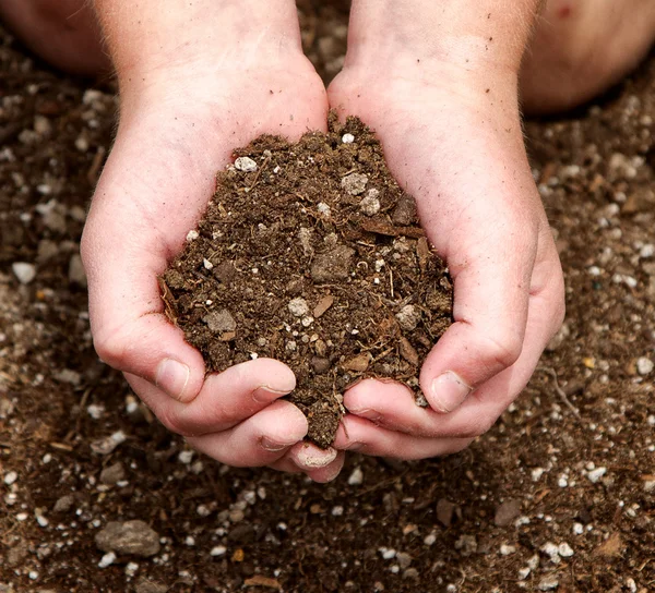 Close-up of child holding dirt — Stock Photo, Image