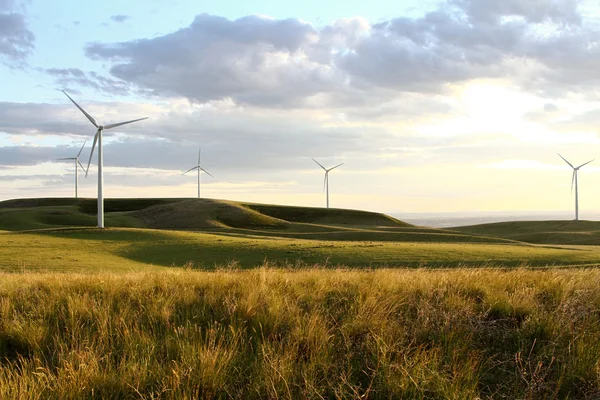 Windmolen boerderij bij zonsondergang — Stockfoto