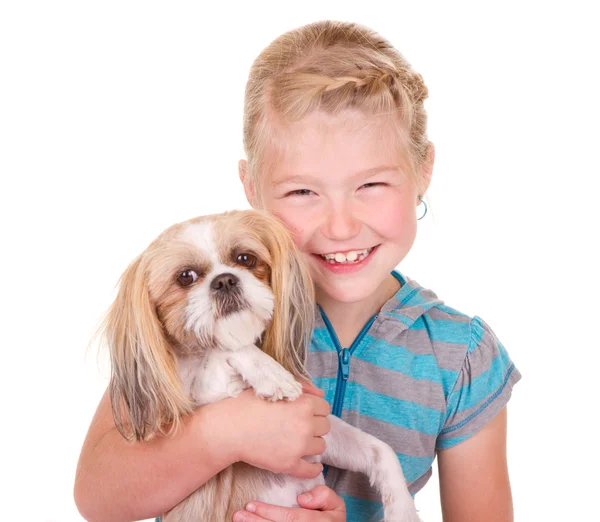 Girl holding a shih tzu dog — Stock Photo, Image