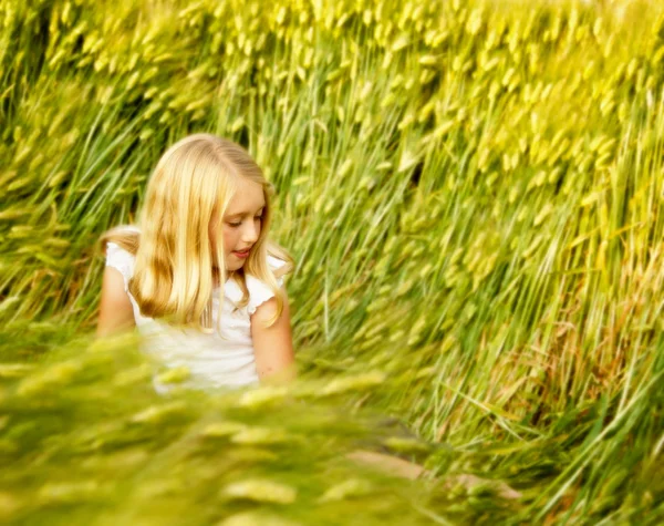 Девушка, сидящая на пшеничном поле — стоковое фото