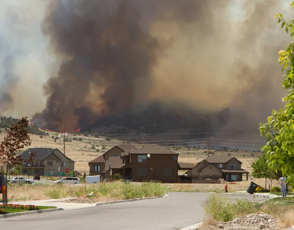 Fuego salvaje o incendio forestal pone en peligro el vecindario —  Fotos de Stock