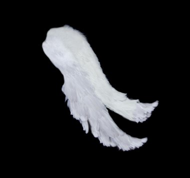 White wings isolated on black clipart