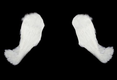 izole siyah üzerine beyaz kanatları