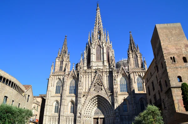 バルセロナの大聖堂 — ストック写真