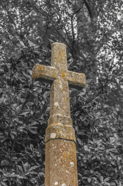 Kerkhof stenen kruis — Stockfoto