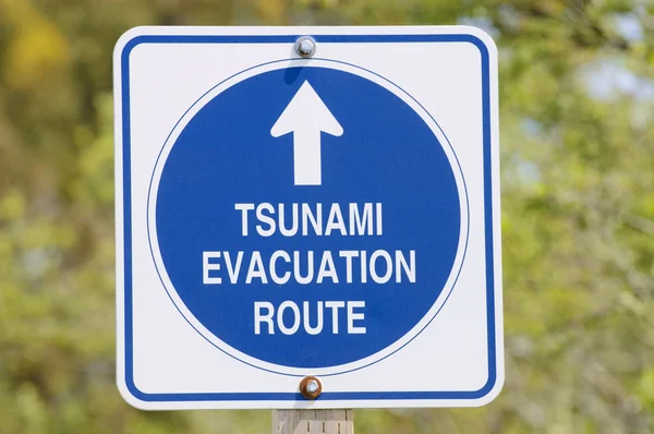 stock image Tsunami sign