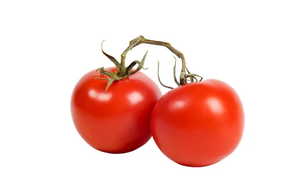 Mogen tomat — Stockfoto