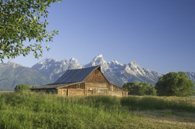 Old Mormon Barn against the tetons clipart