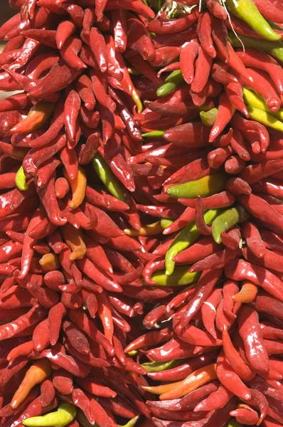 Rosso peperoncino piccante sfondo — Foto Stock