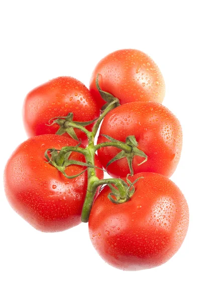 Świeżych pomidorów na biały — Zdjęcie stockowe