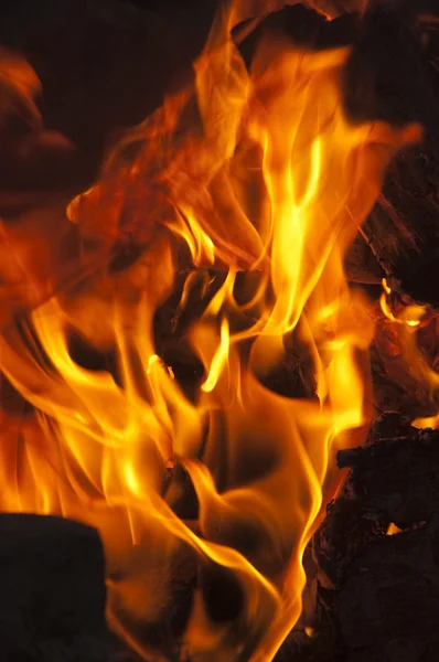 Close-up van een brand — Stockfoto