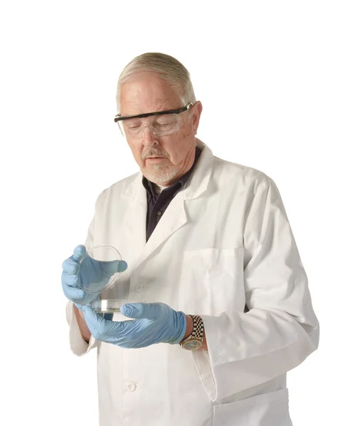 Naukowiec patrząc na płytkę Petriego — Zdjęcie stockowe