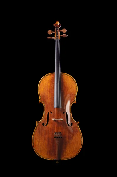 黑色背景上的大提琴 — 图库照片