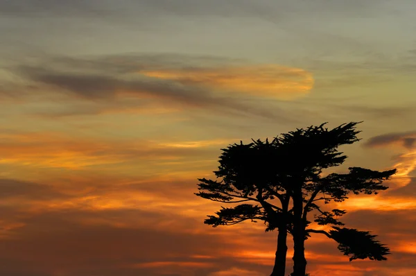 stock image Sunset over Santa Cruz