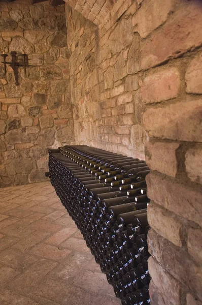 Innenraum des Schlosses mit Weinflaschen — Stockfoto