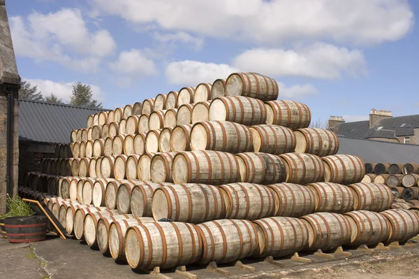 Barris empilhados no ano de destilaria prontos para uso — Fotografia de Stock