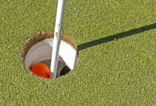 Golfbal in cup — Stockfoto