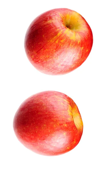 Par av cox's orange äpplen — Stockfoto
