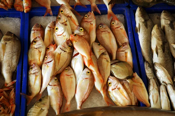 Pescado en un mercado de pescado en Kusadasi Turquía — Foto de Stock