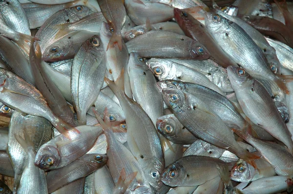Kuşadası Türkiye'de bir Balık pazarı balık — Stok fotoğraf