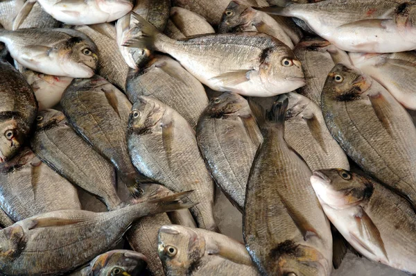鱼在鲜鱼在库萨达斯土耳其市场 — 图库照片