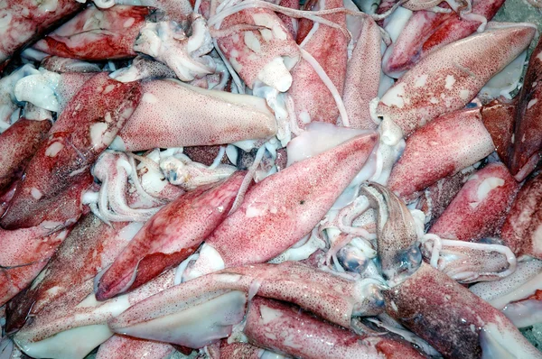 stock image Kalamari in a fishmarket in Kusadasi Turkey