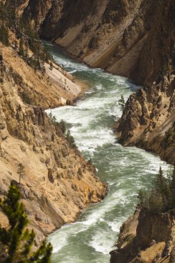 Yellowstone Nehri