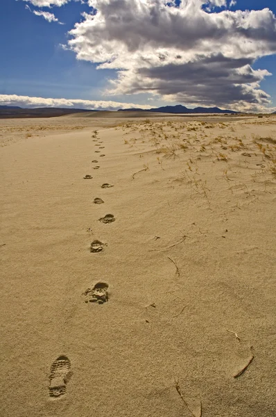 stock image Footprints in the sand