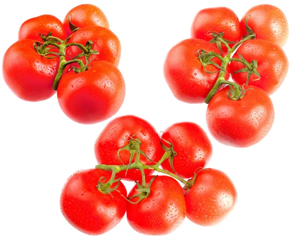 Klasar av tomater — Stockfoto