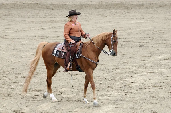 Donna a cavallo cavallo Saddlebred — Foto Stock