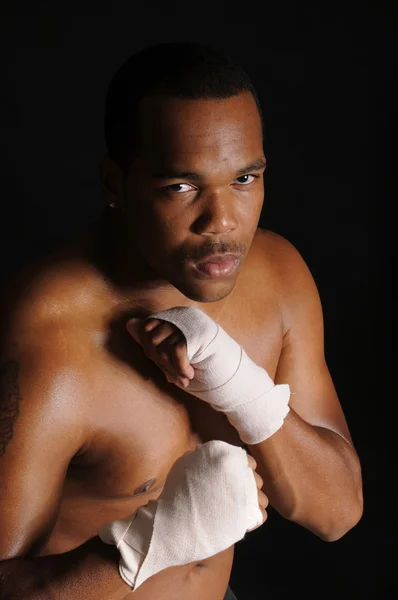 Stock image African american boxer