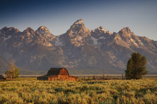 Famous barn on Mormon row in the Teton National Park — Stock Photo, Image