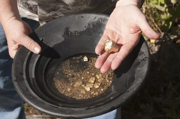 Man finding gold nuggets — Stock Photo, Image