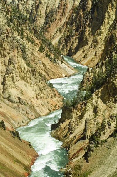 Ущелини річки yellowstone — стокове фото