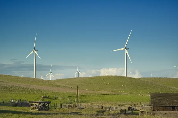 Wind generators in a rural setting — Stock Photo, Image