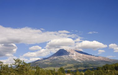 Mount Shasta