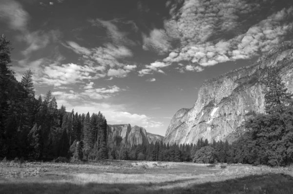 Yosemite valley — Stock Photo, Image