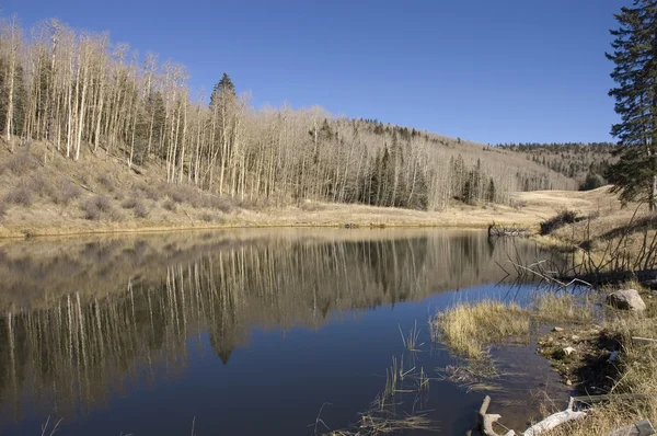 Beautiful Mountain Lake in New Mexico — Stock Photo, Image