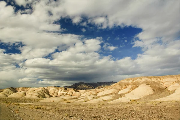Desert scene — Stock Photo, Image